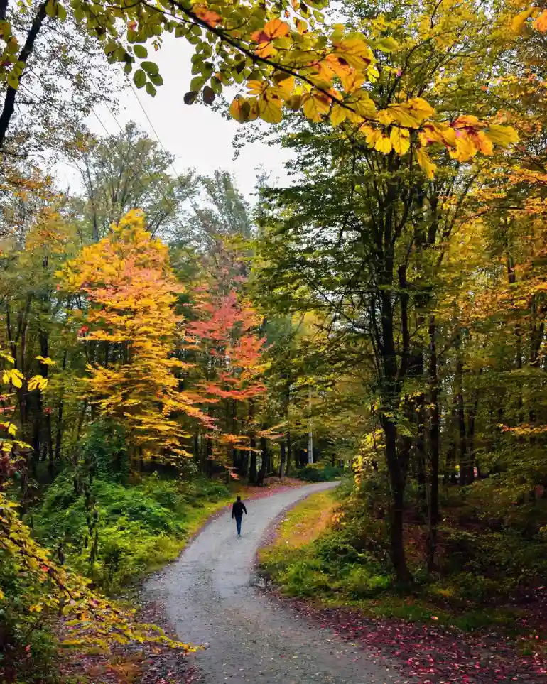 مسیر رفتن به کردکوی