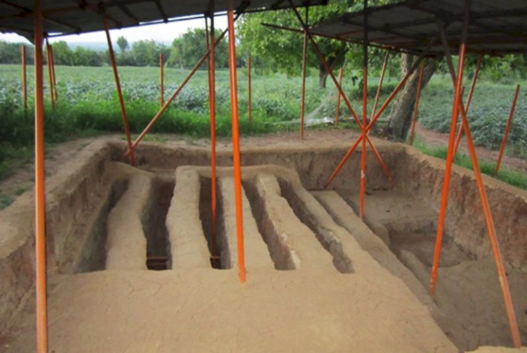 دیوار تمیشه