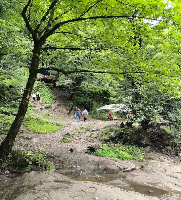 جاهای دیدنی کردکوی