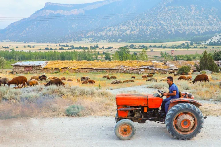 راهنمای سفر به کردکوی