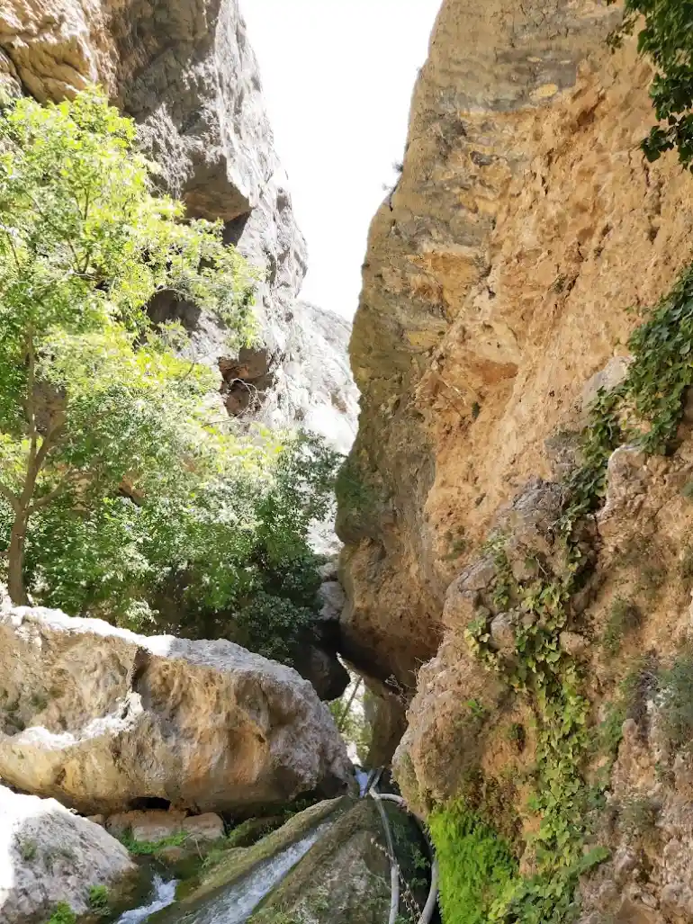 بهترین زمان بازدید از بهشت گمشده شیراز