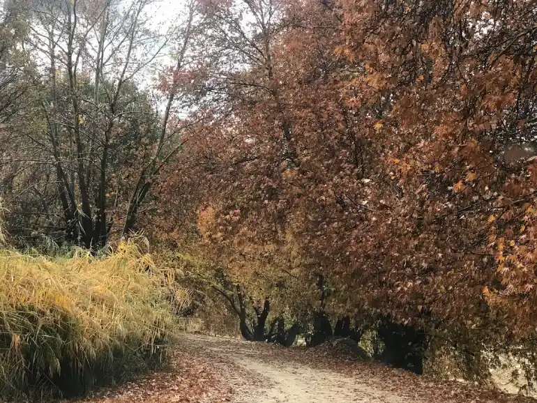 بهترین زمان بازدید از بهشت گمشده شیراز