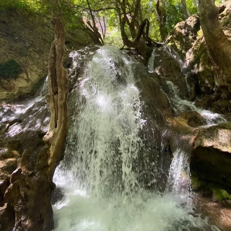 دلیل نامگذاری بهشت گمشده شیراز