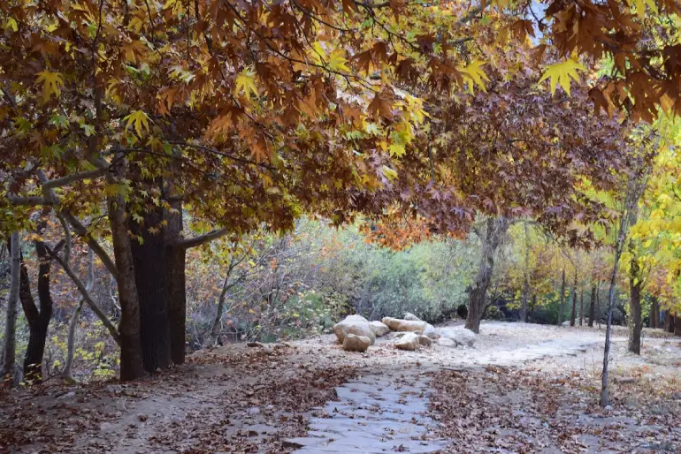 بهشت گمشده شیراز در پاییز و زمستان