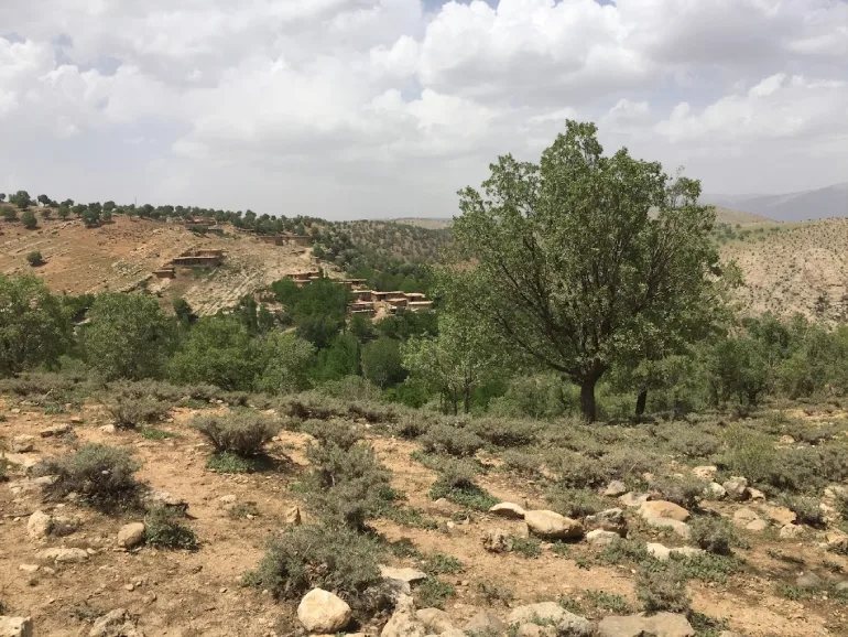 پوشش گیاهی و جانوری بهشت گمشده شیراز