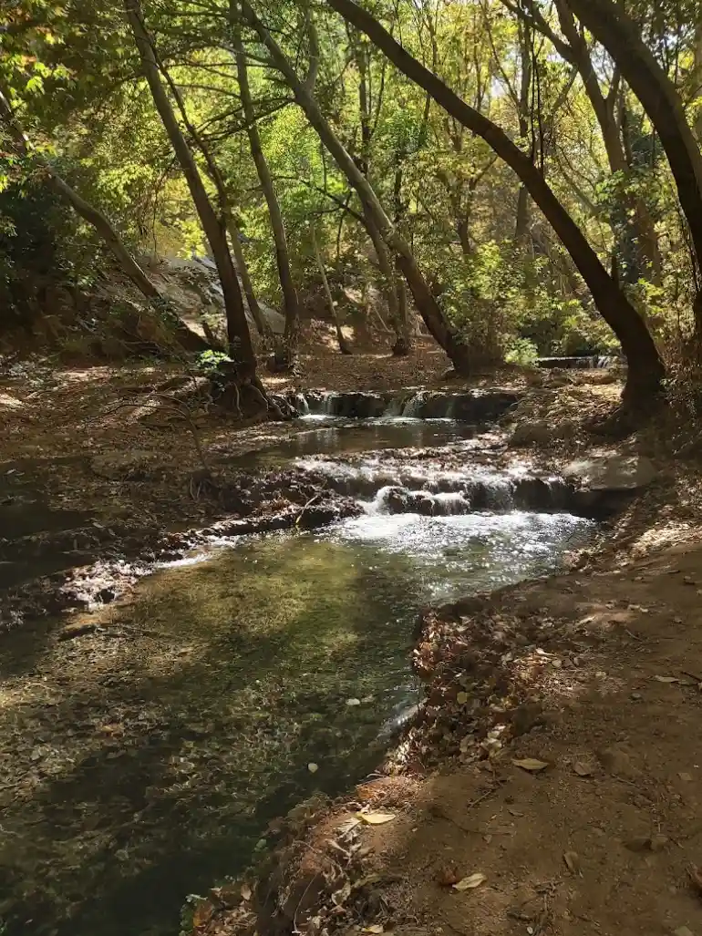 امکانات رفاهی و تفریحات بهشت گمشده شیراز