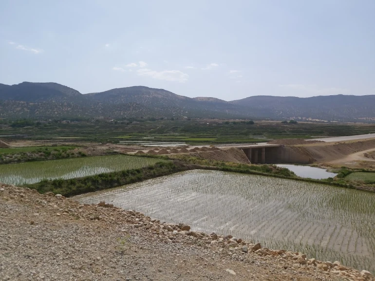 پوشش گیاهی و جانوری بهشت گمشده شیراز