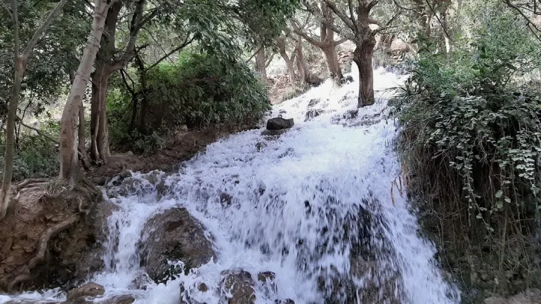 تنگ بستانک مرودشت