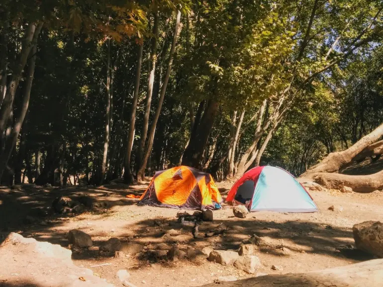 اقامت در بهشت گمشده شیراز