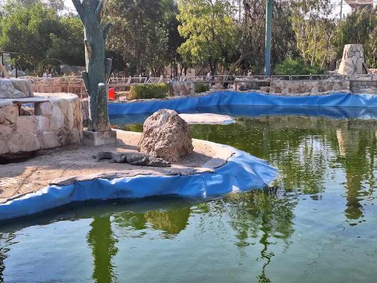 پارک دلفین کیش