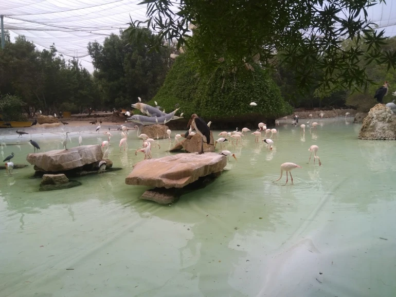 بخش‌های مختلف پارک دلفین کیش