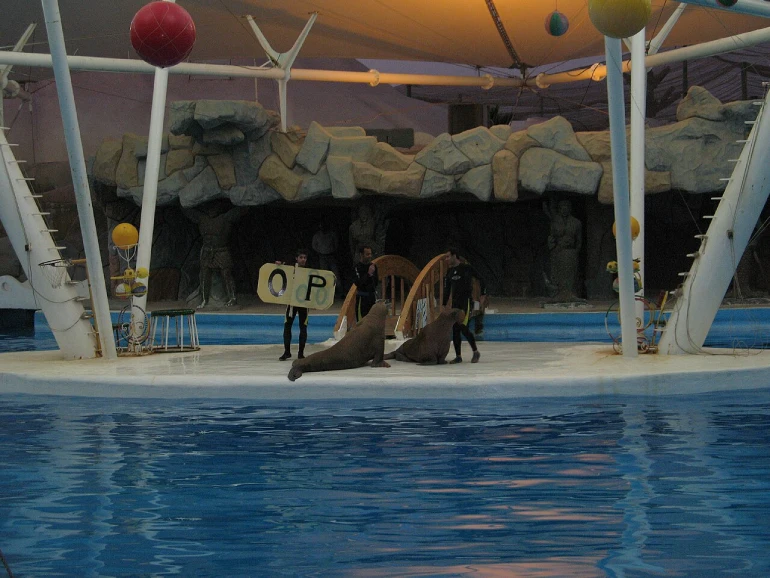 دلفیناریوم کیش