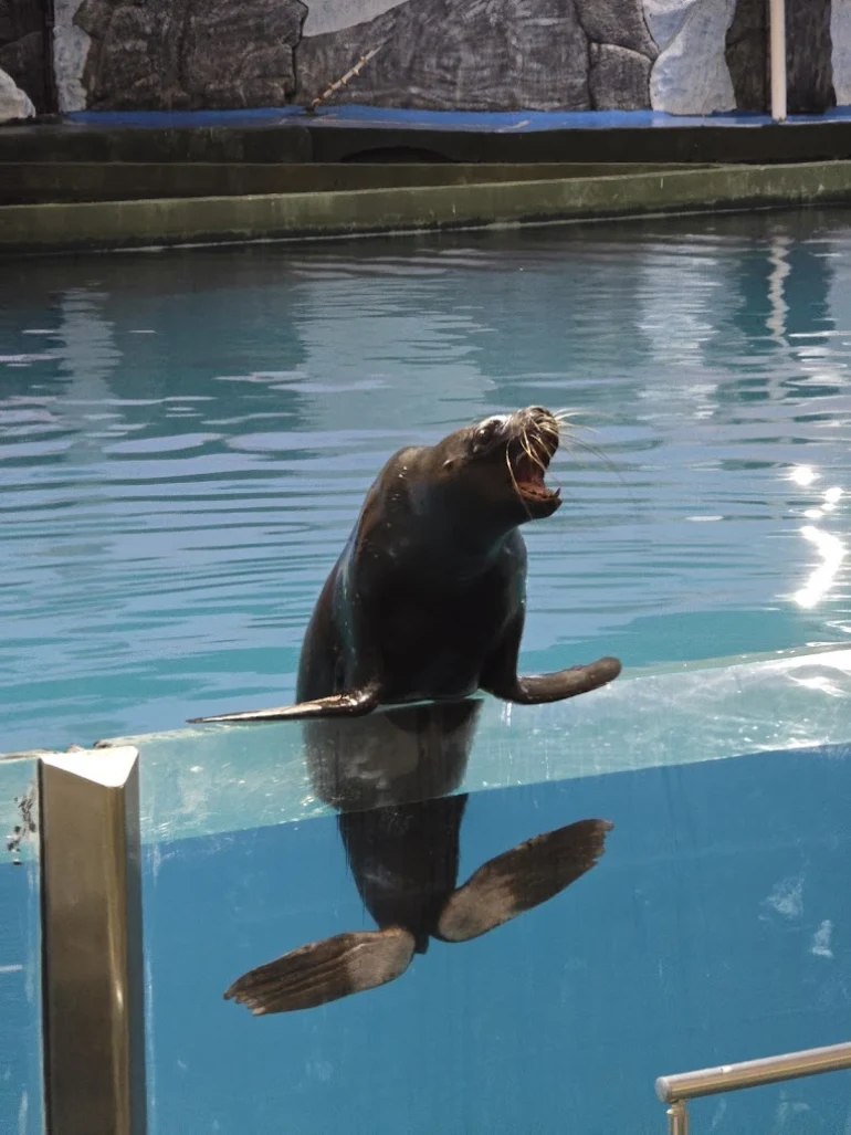 بخش‌های مختلف پارک دلفین کیش