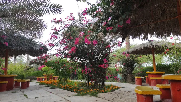 امکانات پارک دلفین کیش