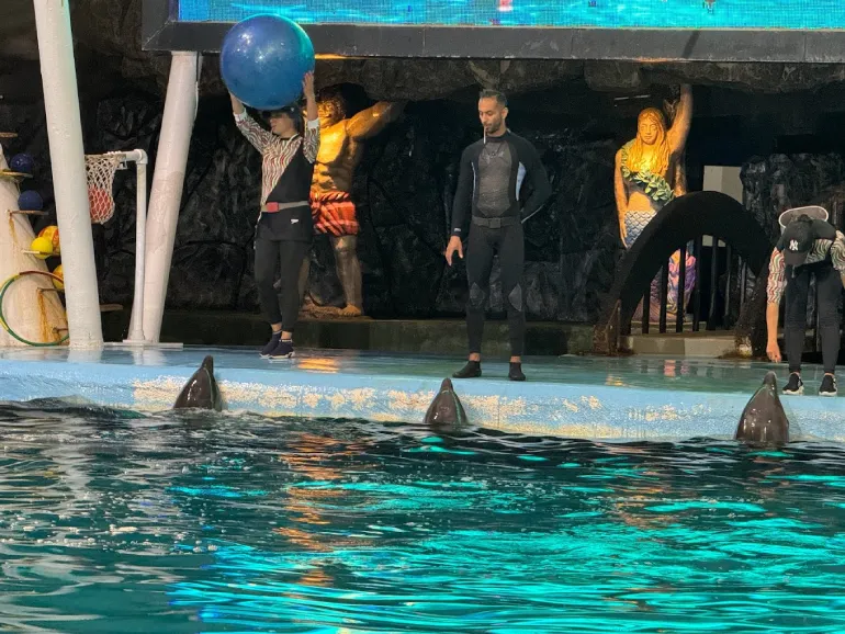 کلاسیک‌شو کیش