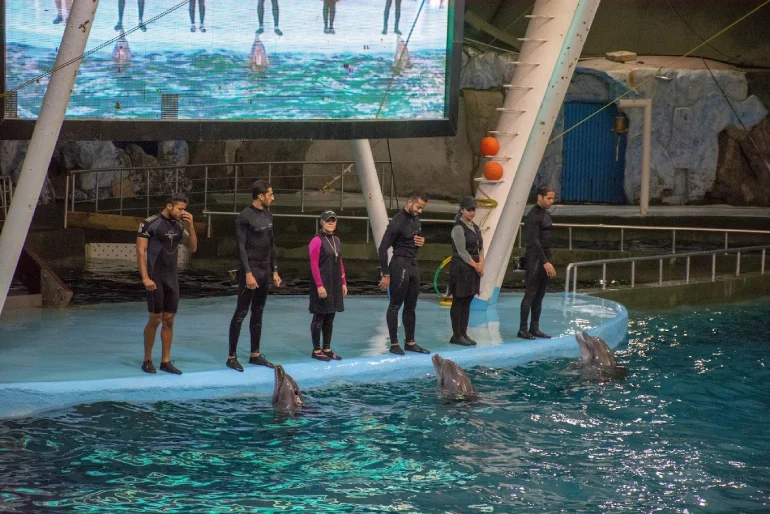 دلفیناریوم کیش