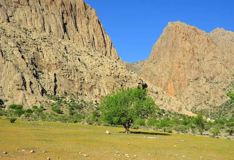 راهنمای سفر به مرودشت