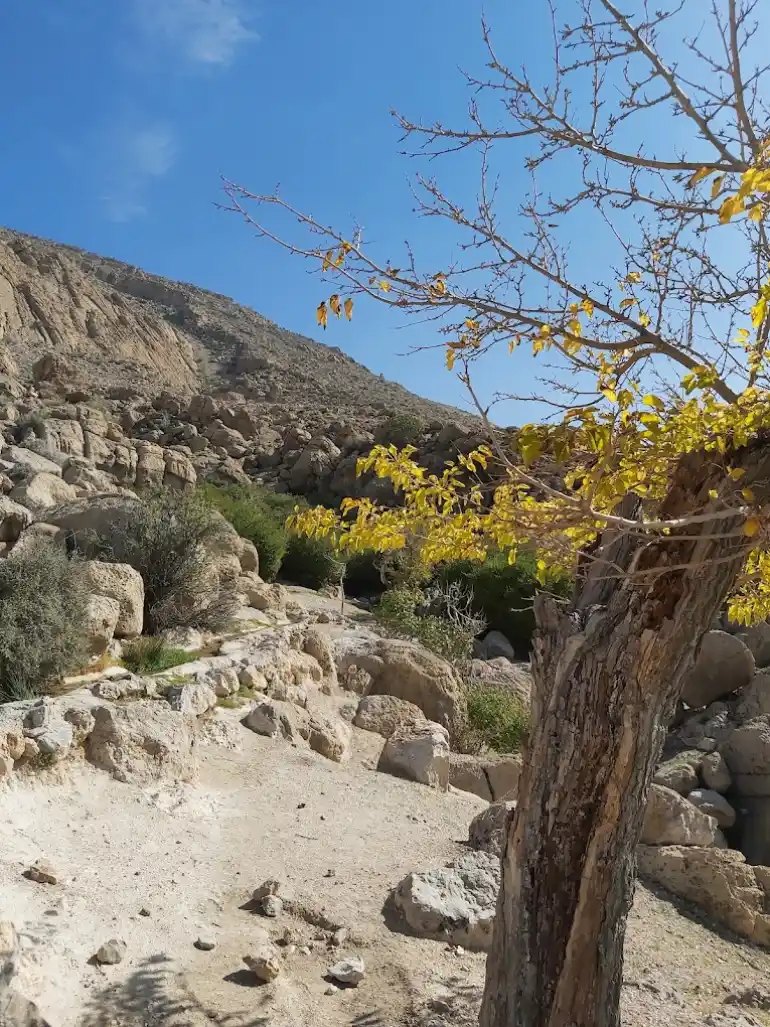 قصر قلات مرودشت