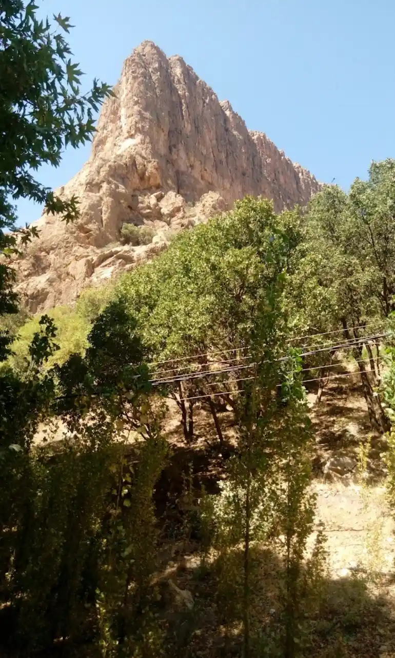 معرفی بهشت گمشده شیراز