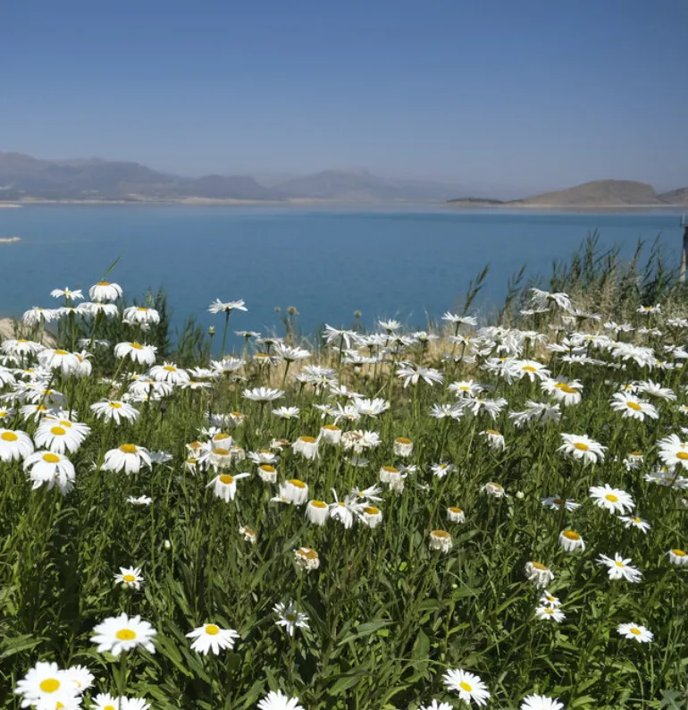 سد درودزن مرودشت