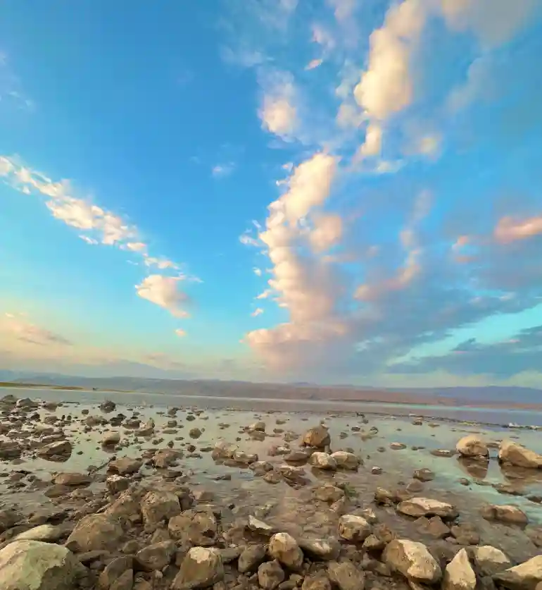 حیوانات سد درودزن