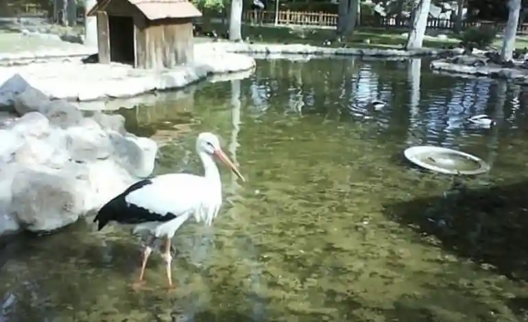 باغ پرندگان شیراز