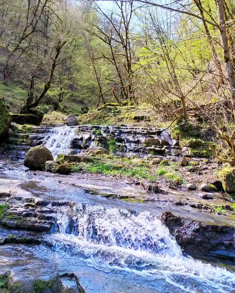 آبشار لوشکی گیلان؛ رقص طبیعت با موسیقی آب 26 آبشار لوشکی