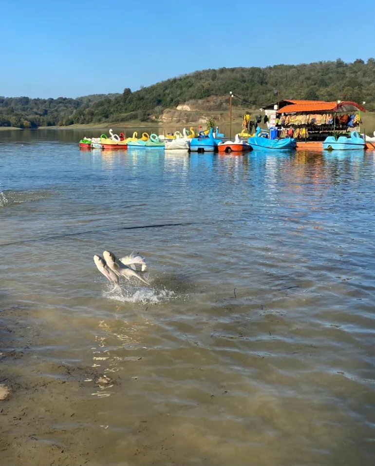 تفریحات سد شیاده