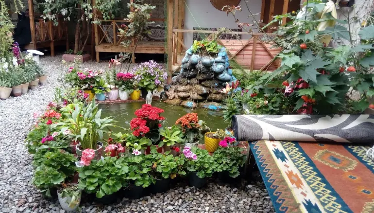 رستوران رامسر