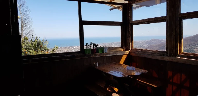 رستوران بلوط