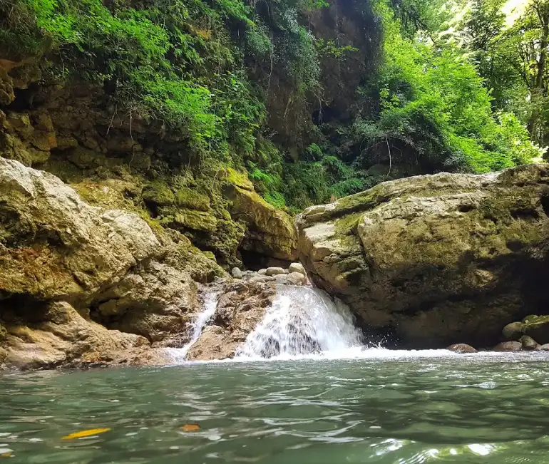 تنگه دار کجاست