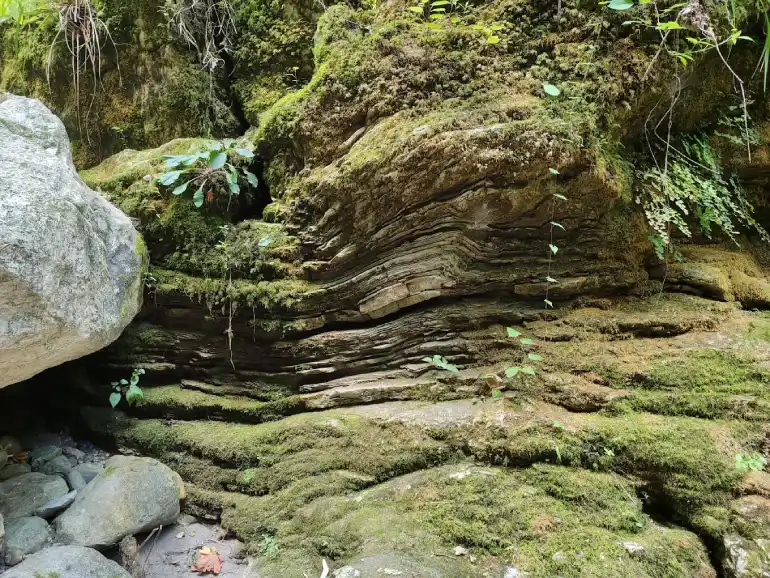 تنگه دار نوشهر