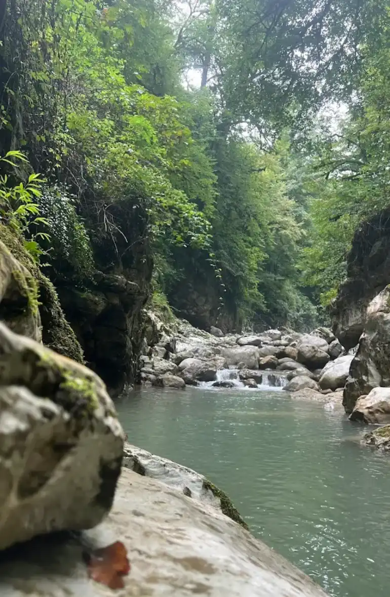 تنگ دار نوشهر