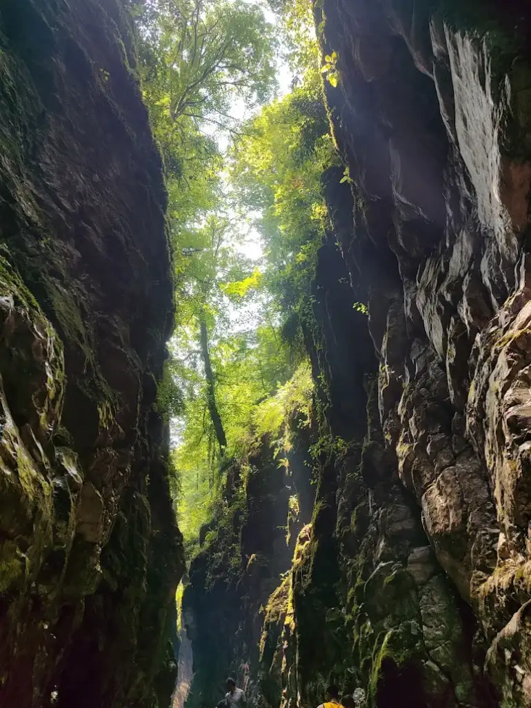 تنگه دار یعنی چه؟