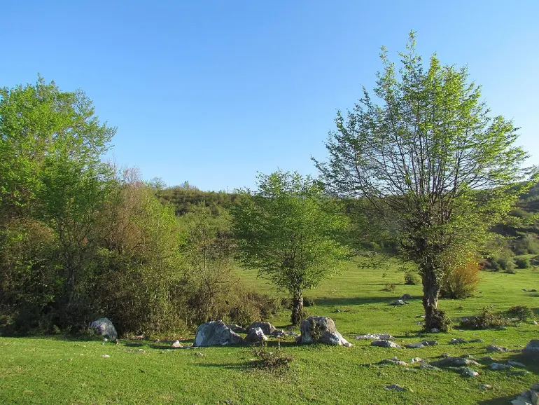 جاهای دیدنی نزدیک تنگ دار