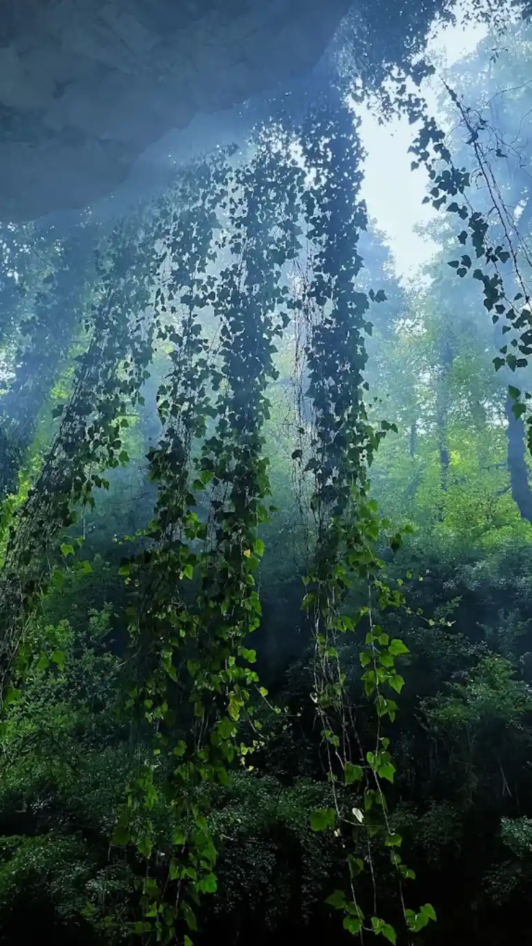 تنگه دار نوشهر Google maps 3