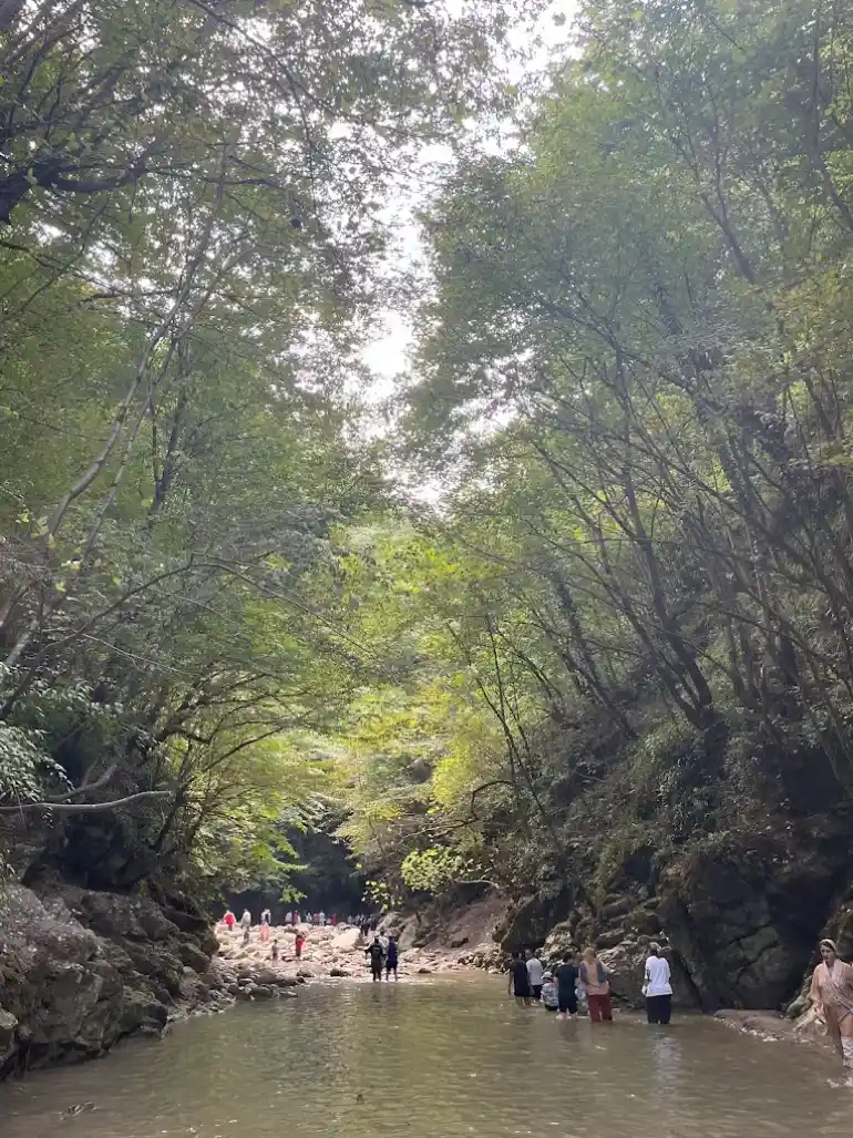 اقامت در تنگه دار