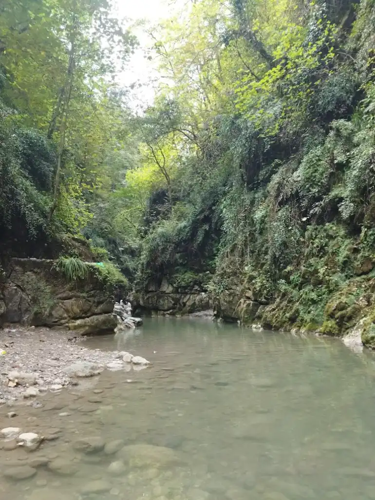 تنگه دار نوشهر