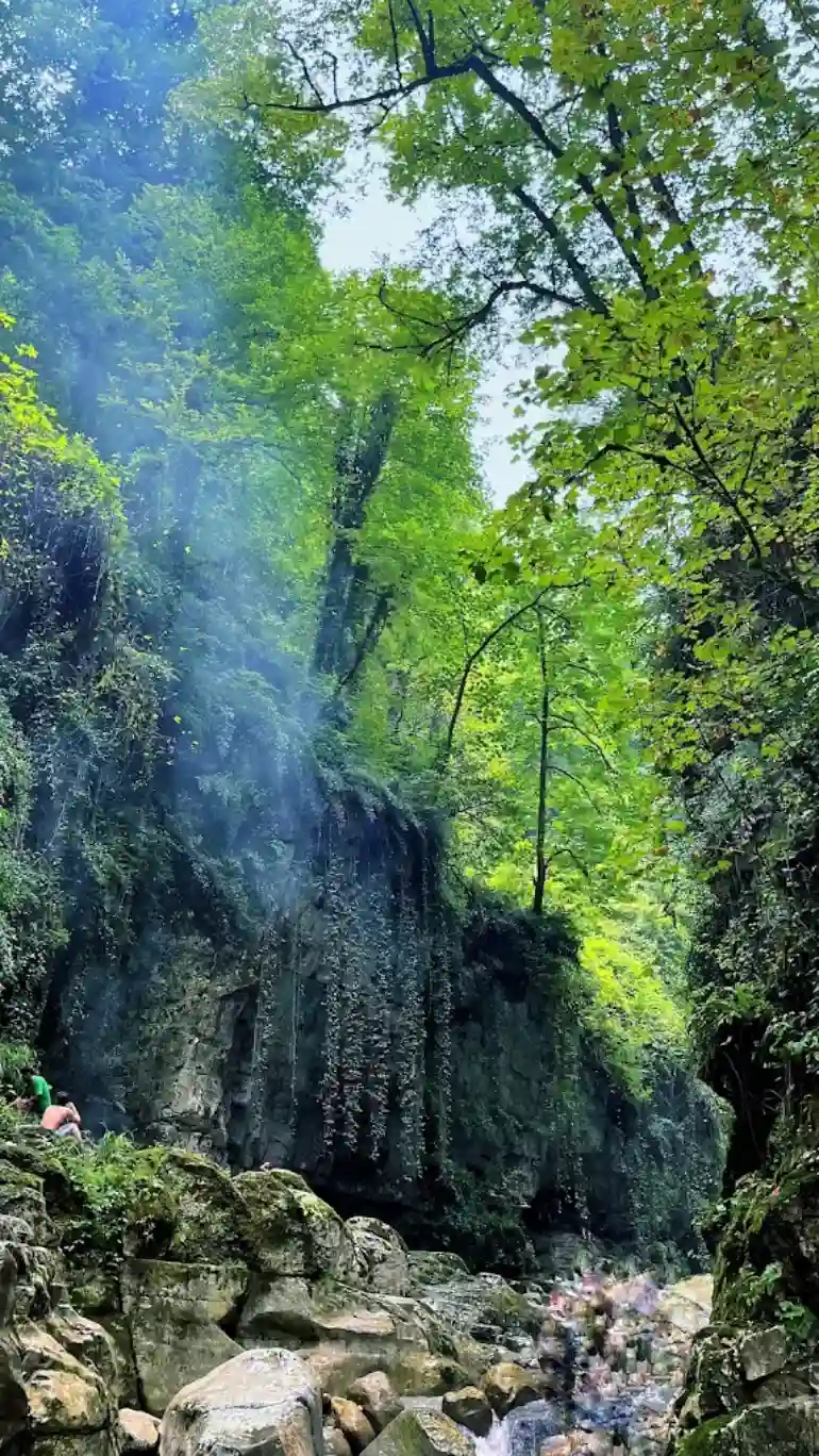 اقامتگاه تنگ دار