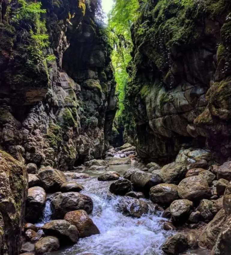 تنگه دار نوشهر