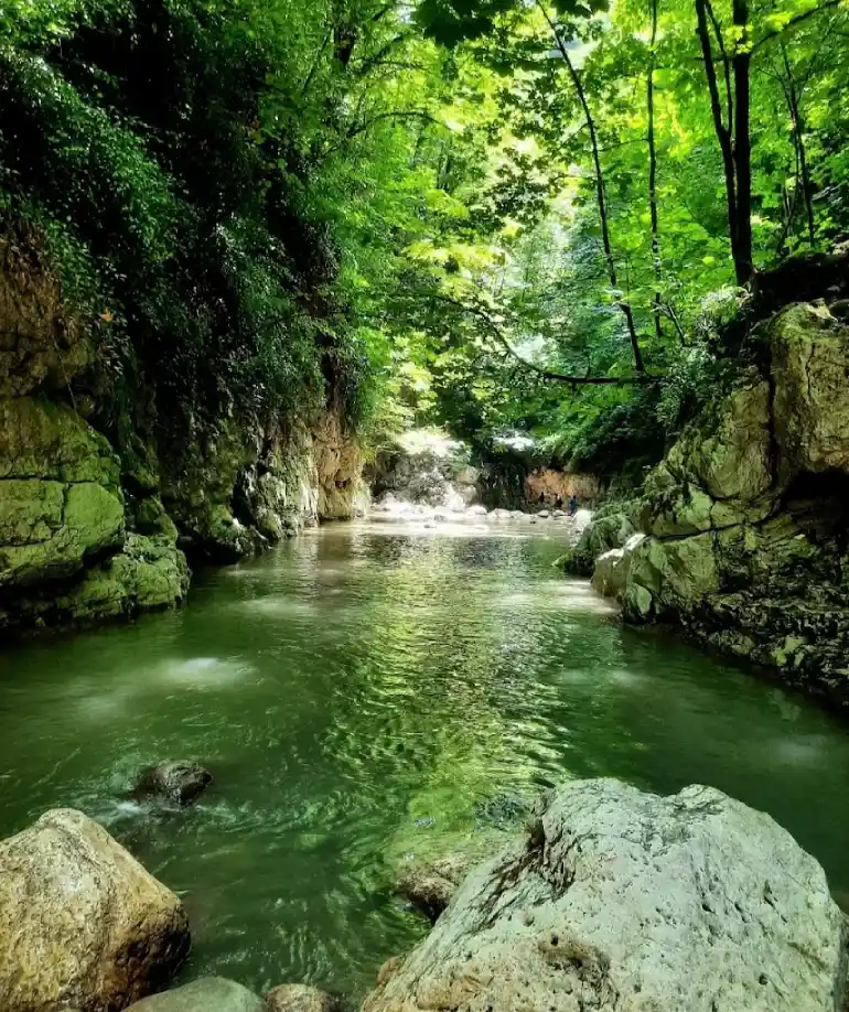 تنگه دار نوشهر