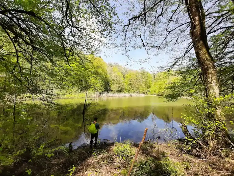 جاهای دیدنی قائمشهر در تابستان