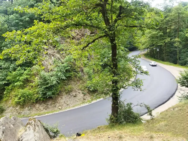 بهترین مسیر دسترسی به جنگل عباس آباد