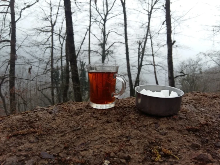 تفریحات جنگل عباس آباد