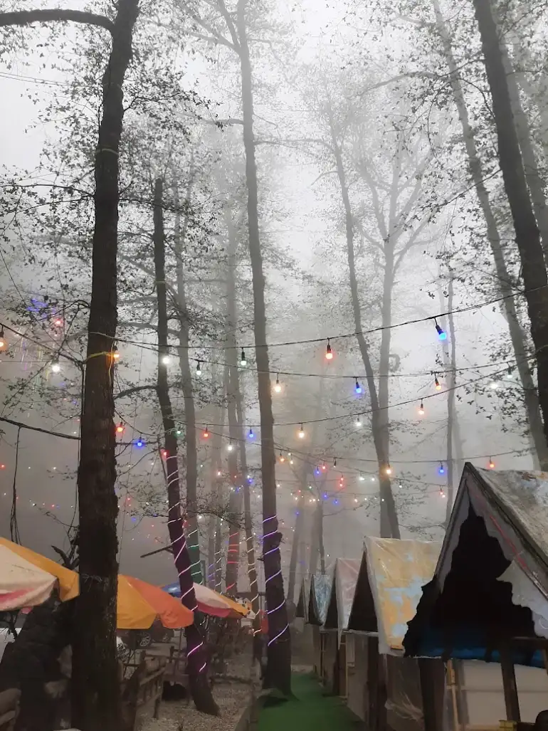 امکانات رفاهی جنگل عباس آباد