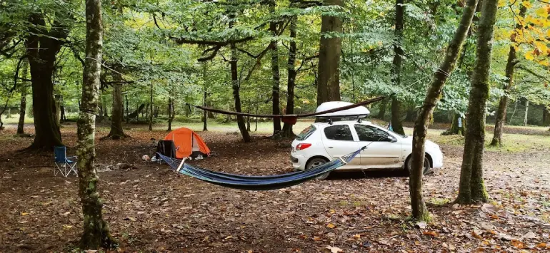 اقامت در جنگل عباس آباد