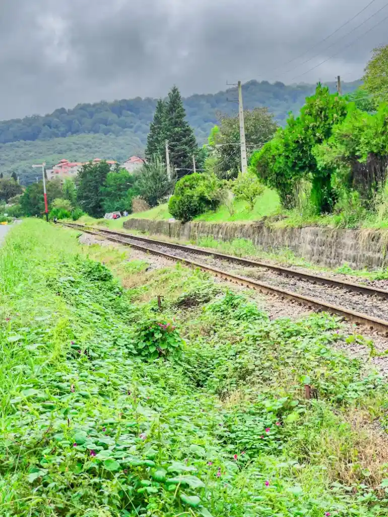 سفر به شیرگاه با قطار