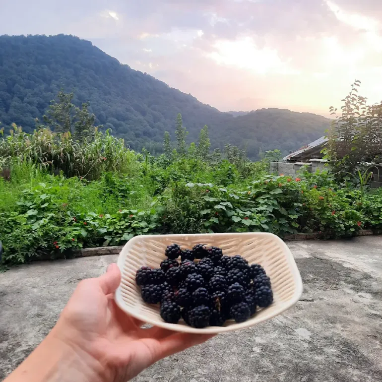 بهترین زمان سفر به شیرگاه