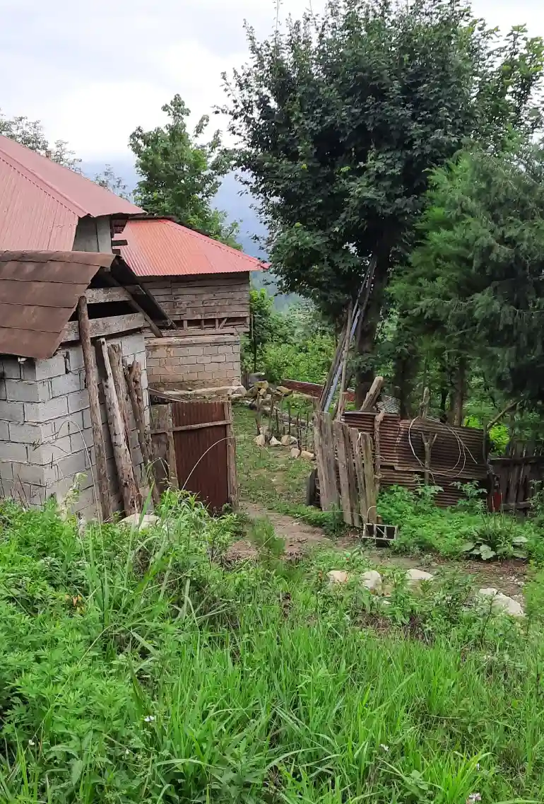 روستای بورخانی