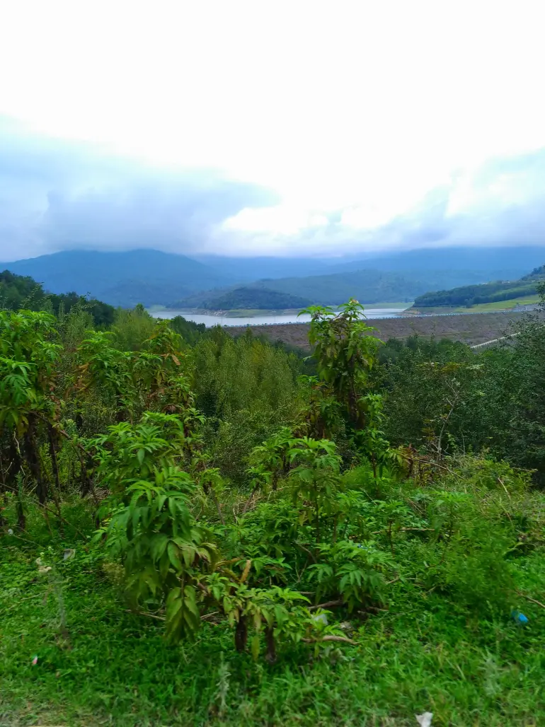 روستای نفتچال